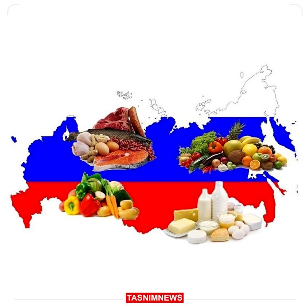 Wp Header Logo 1778.png