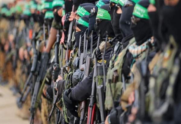 Wp Header Logo 1915.png