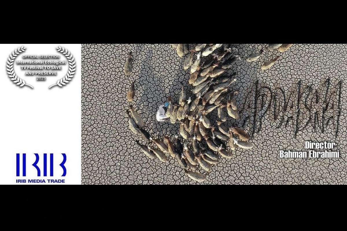 Wp Header Logo 1234.png