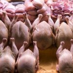 قیمت مرغ، امروز دوشنبه ۱۵ اردیبهشت ۱۴۰۴ | قیمت فیله مرغ طعم دار کیلویی چند؟