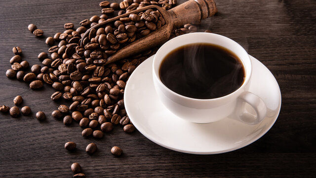 Wp Header Logo 708.png