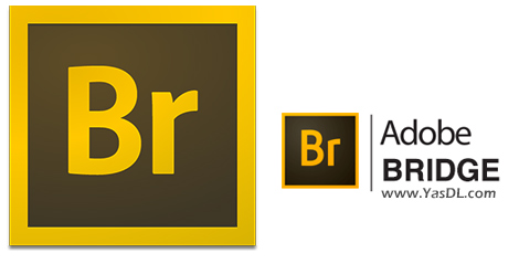 Wp Header Logo 1041.png