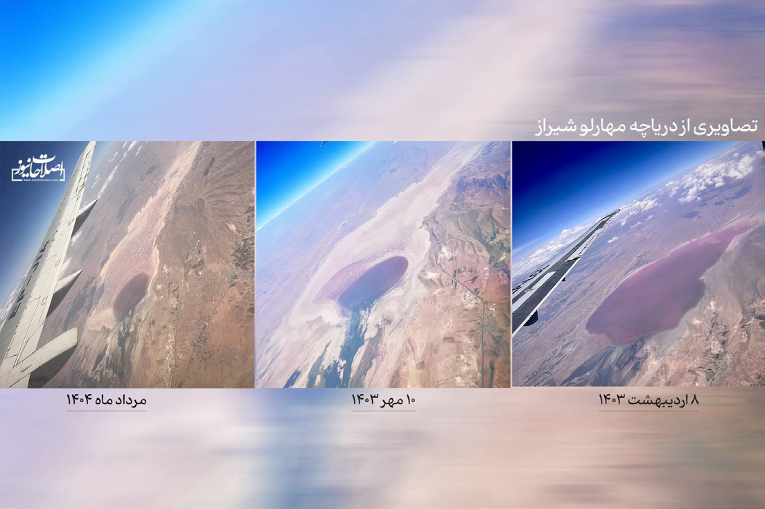 Wp Header Logo 1185.png