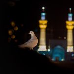 ۳۵ سال پیوستگی شعر آیینی در حرم مطهر امام رضا(ع)