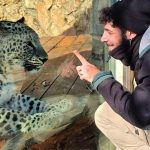 حمله پلنگ ایرانی به یک جوان اسرائیلی در باغ‌وحش قدس