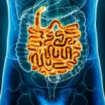 ۷ خوراکی که باید برای سلامت روده کنار بگذارید
