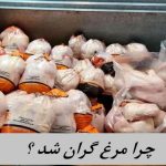 چرا مرغ گران شد ؟