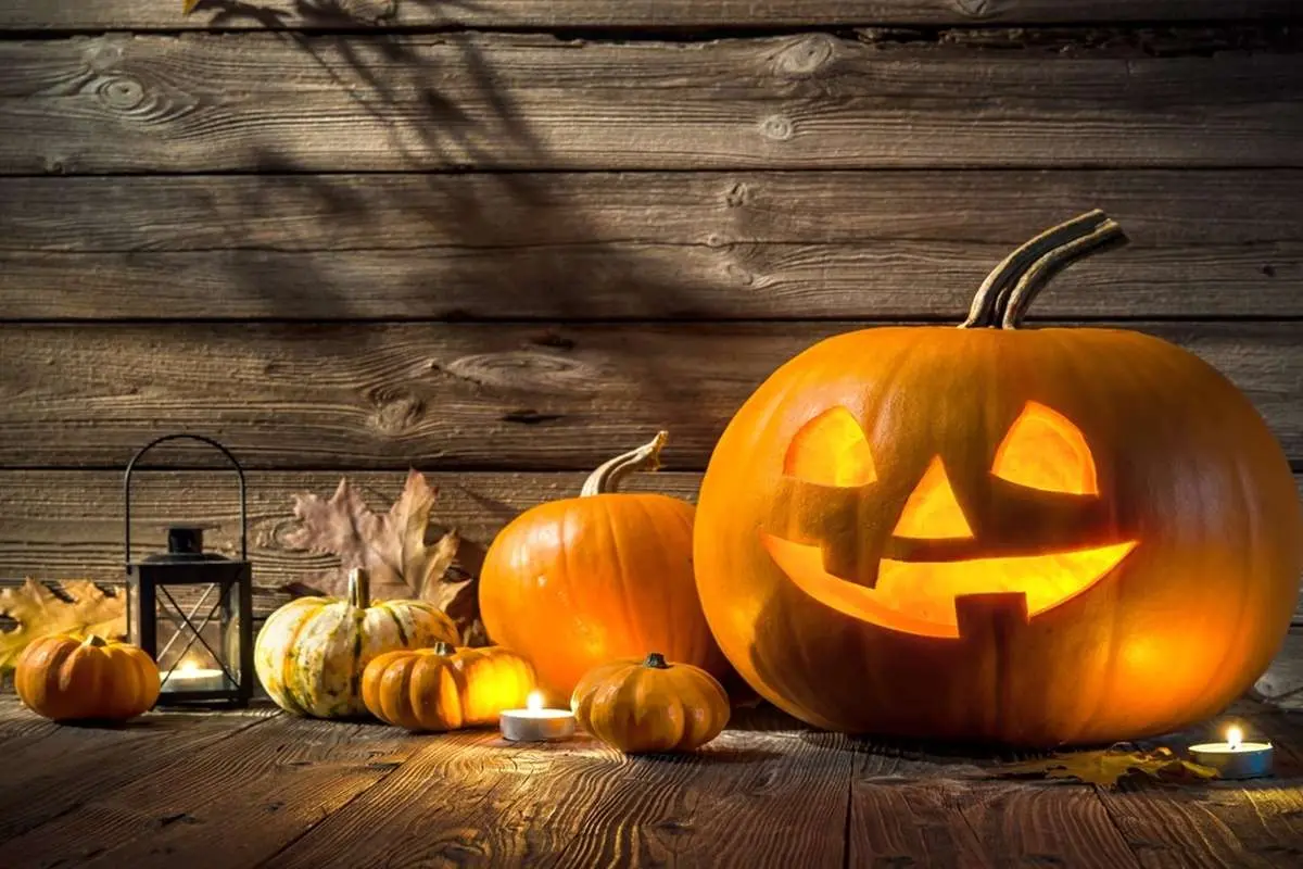 Wp Header Logo 1163.png