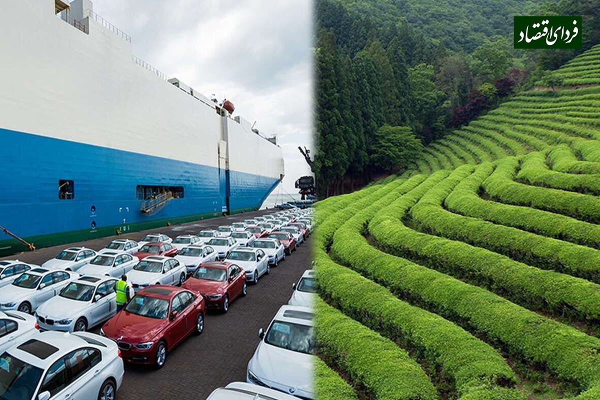 Wp Header Logo 626.png