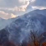 وضعیت قرمز در جنگل‌های الیت؛ آتش‌سوزی همچنان پیشروی می‌کند