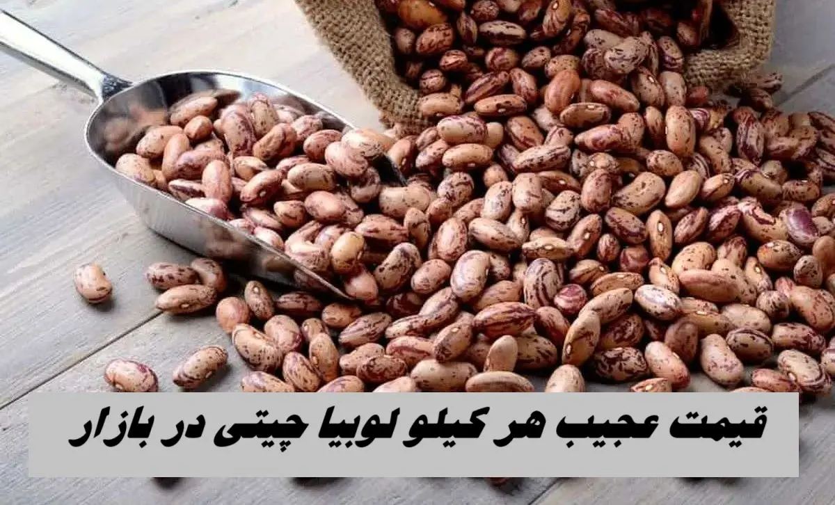 Wp Header Logo 2353.png