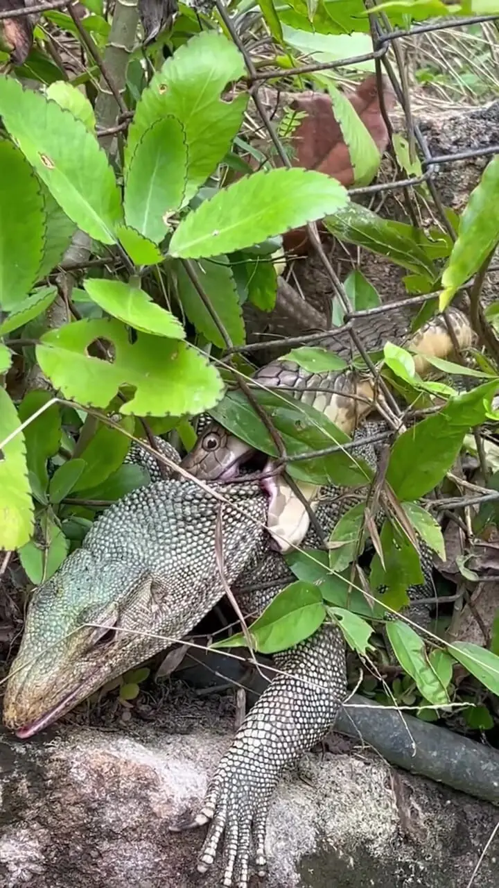 Wp Header Logo 2360.png