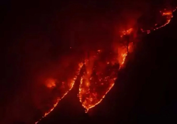 Wp Header Logo 2377.png