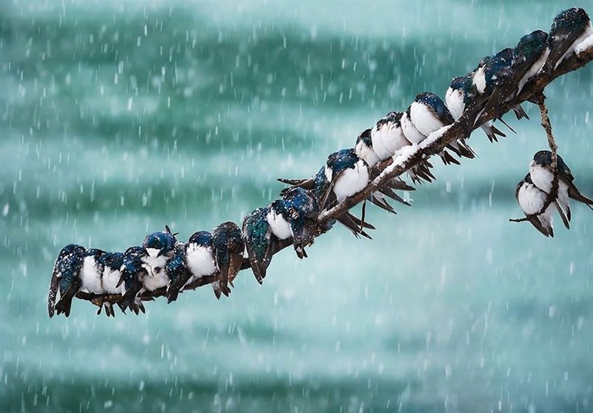 Wp Header Logo 2412.png