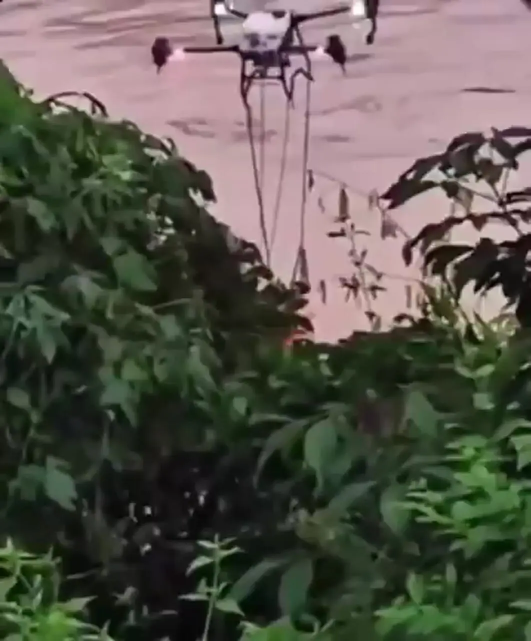 Wp Header Logo 2446.png