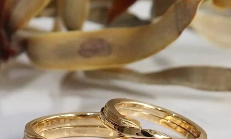 Wp Header Logo 2450.png