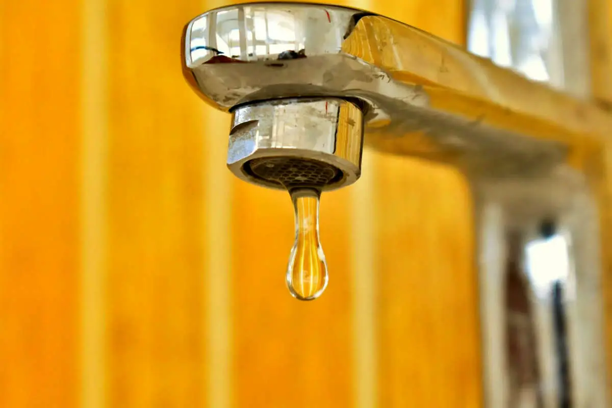 Wp Header Logo 2595.png