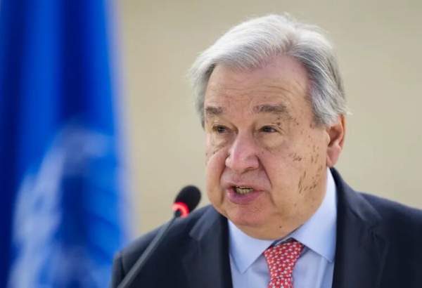 Wp Header Logo 2626.png