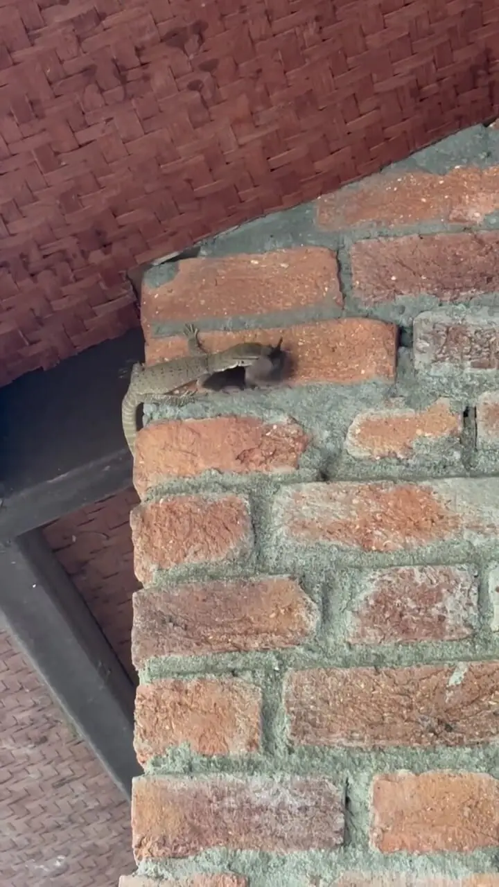 Wp Header Logo 2773.png