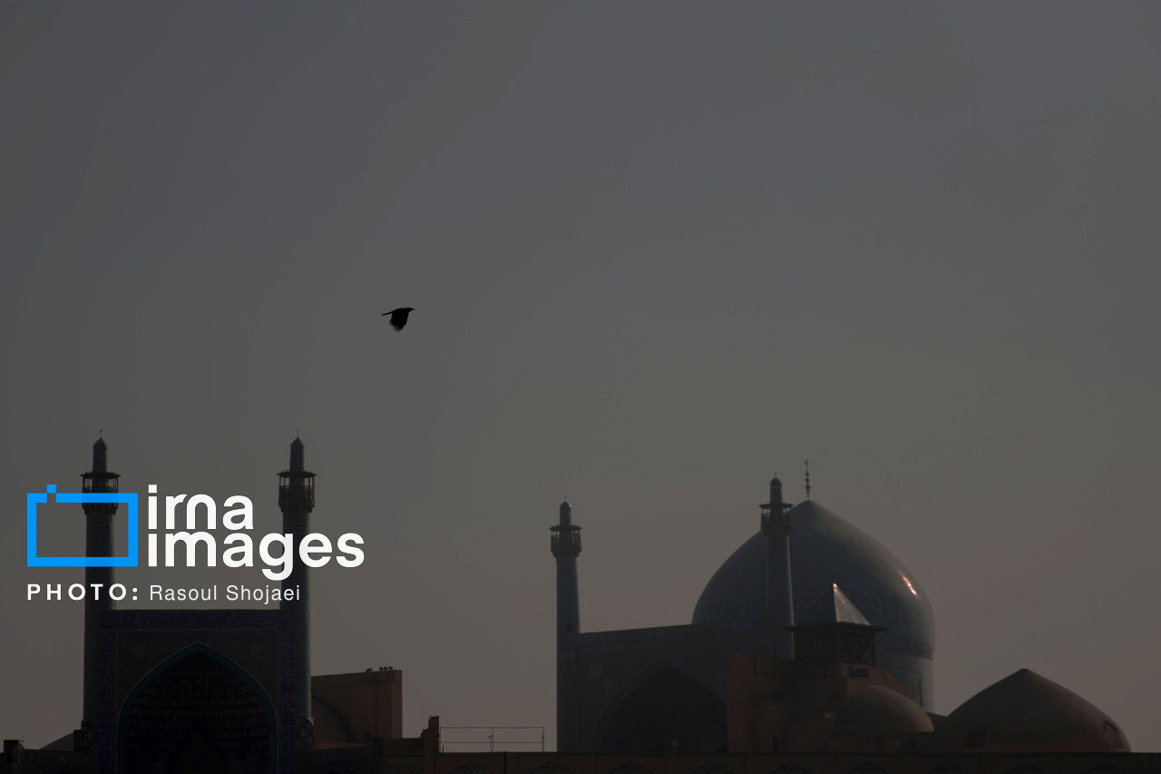 Wp Header Logo 2779.png