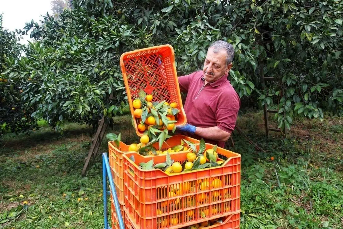 Wp Header Logo 2806.png