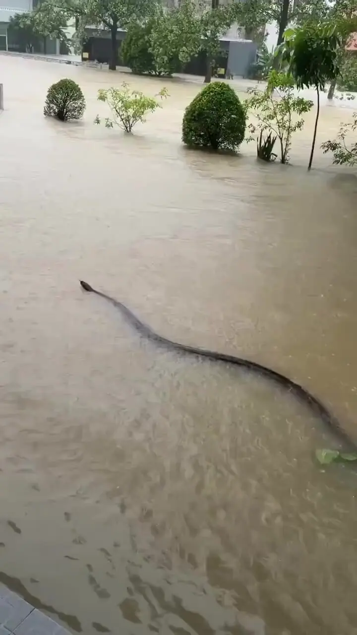 Wp Header Logo 2851.png