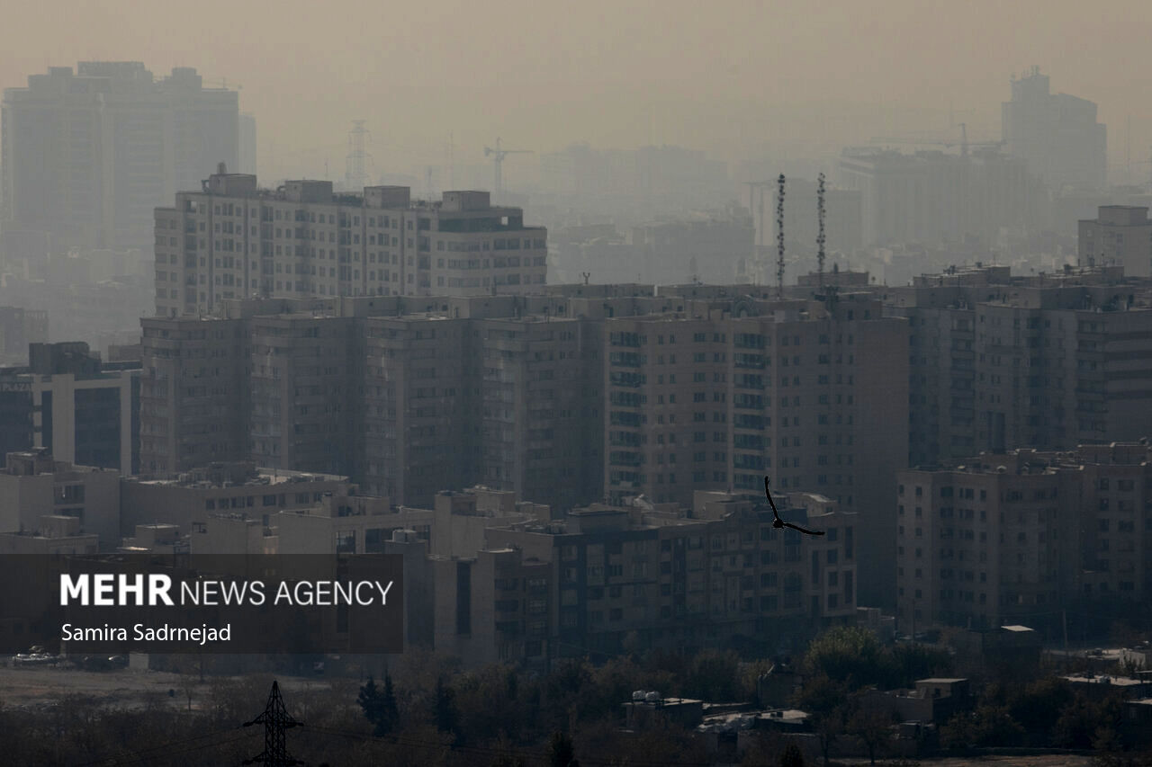 Wp Header Logo 2899.png