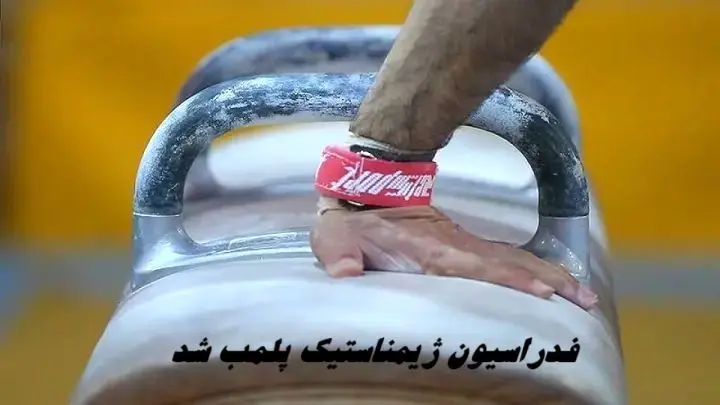 Wp Header Logo 2938.png