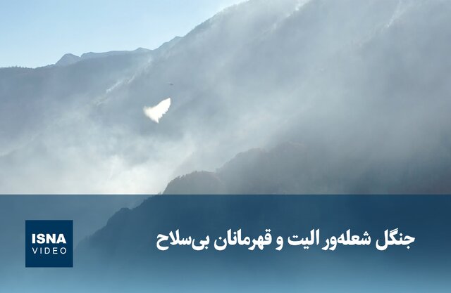 Wp Header Logo 2961.png