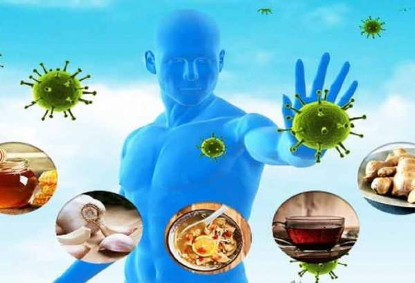 Wp Header Logo 3143.png