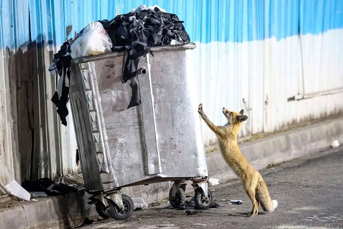 Wp Header Logo 3147.png