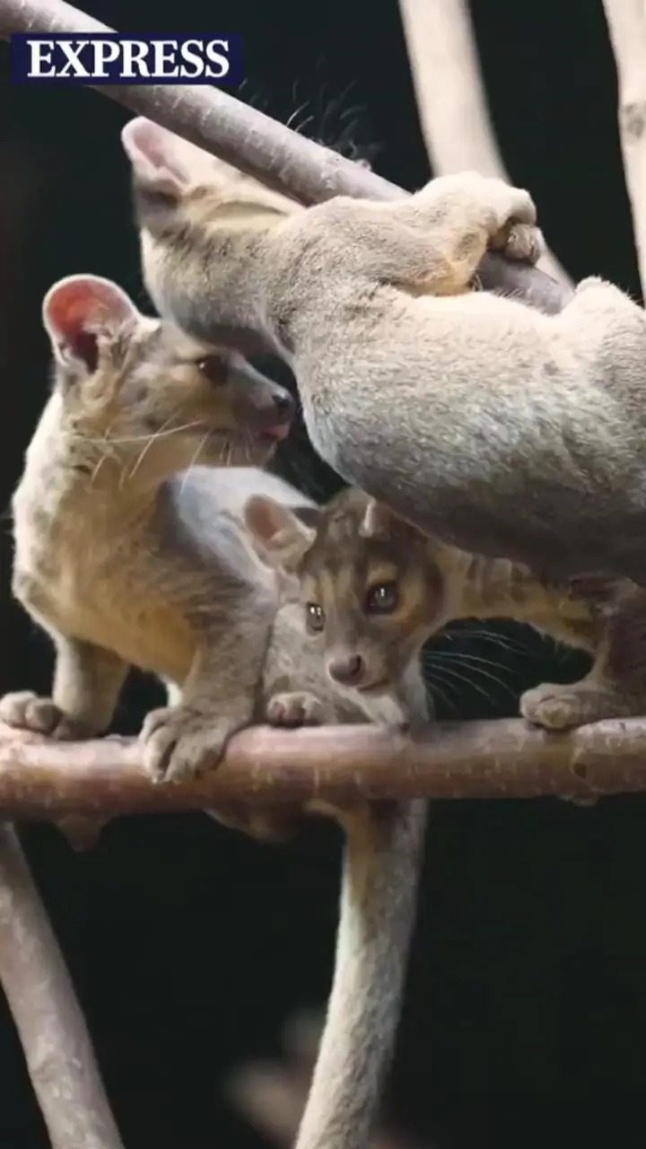 Wp Header Logo 3224.png