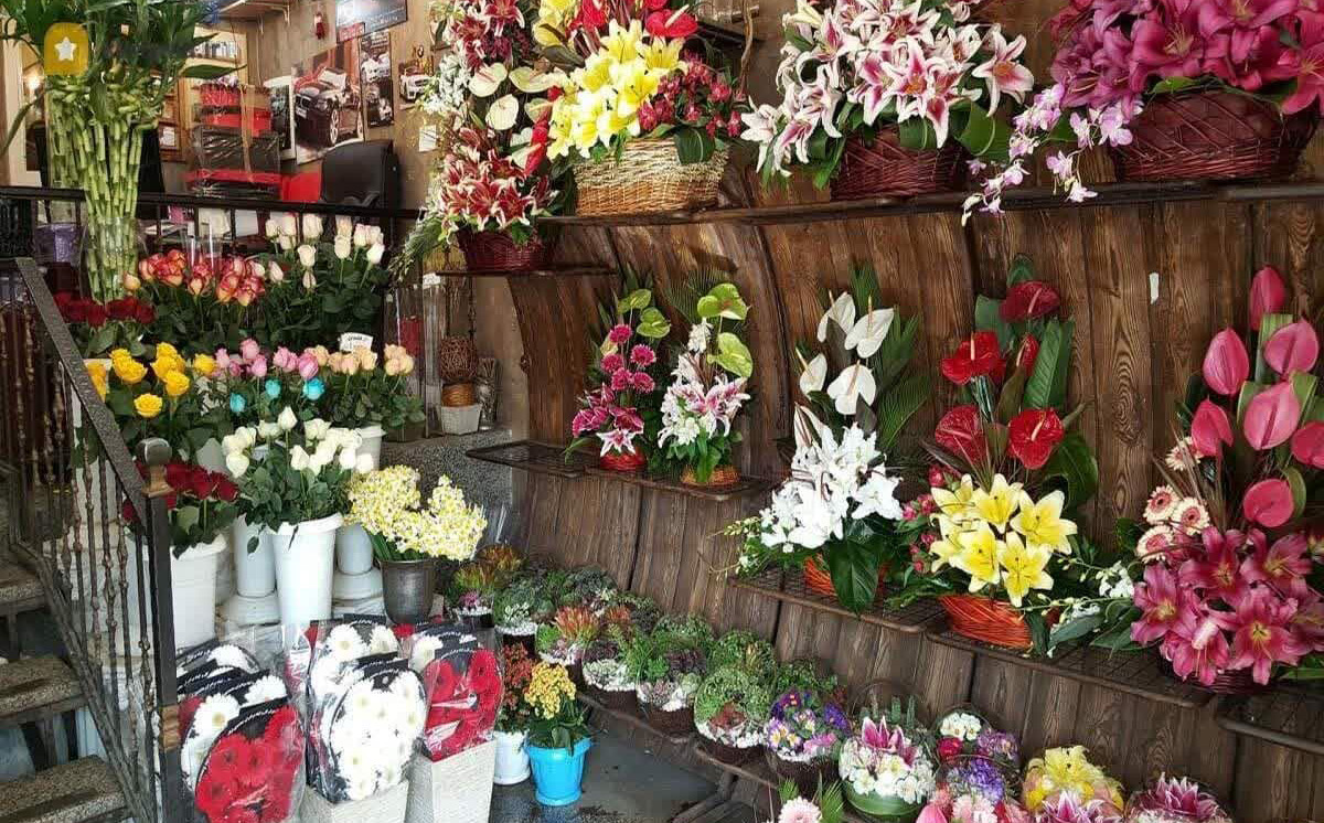 Wp Header Logo 1164.png