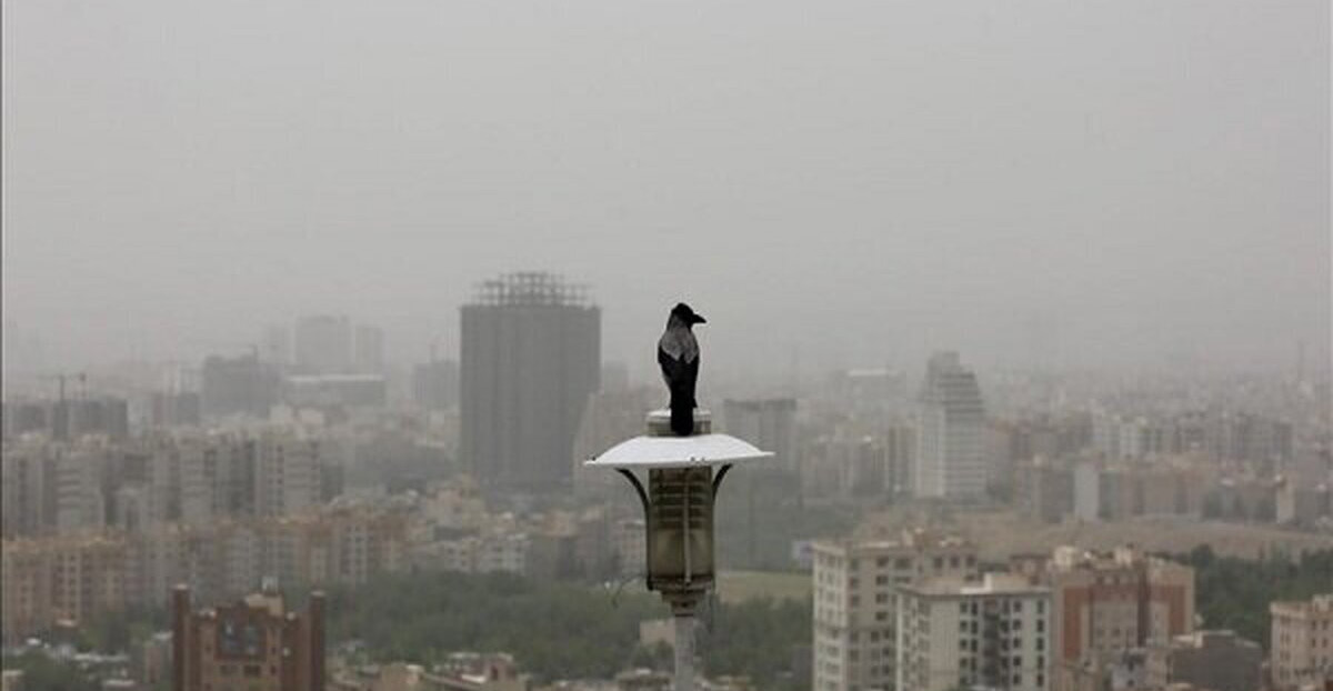 Wp Header Logo 1383.png