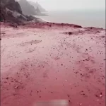 رقص باران بر خاک سرخ جزیره هرمز