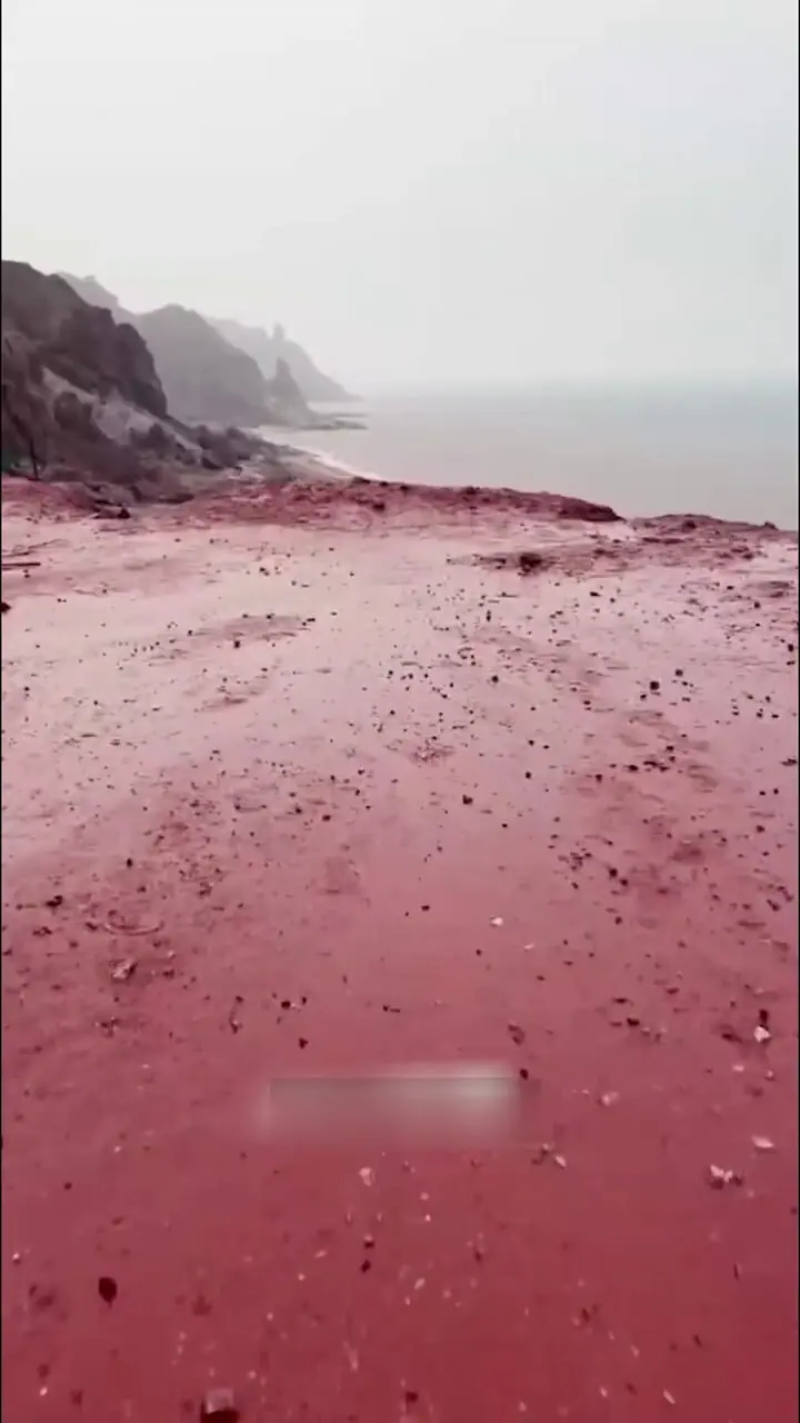 Wp Header Logo 1735.png