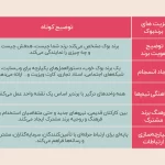 چرا برند بوک فارسی برای کسب‌وکار شما ضروری است؟ نمونه برند بوک فارسی