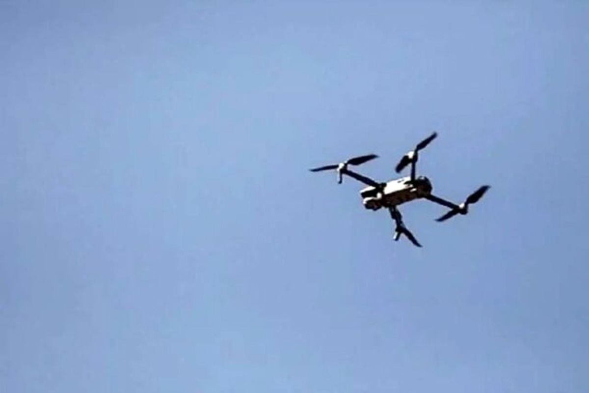 Wp Header Logo 236.png