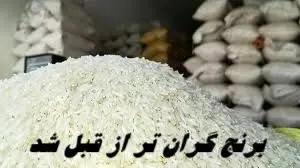 Wp Header Logo 254.png