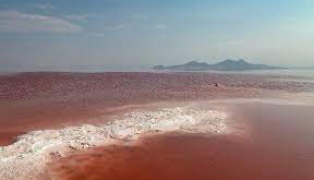 Wp Header Logo 288.png