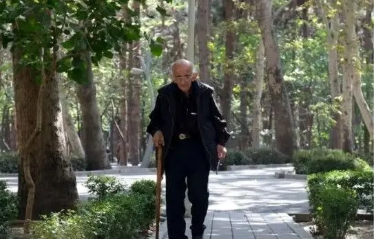 Wp Header Logo 442.png