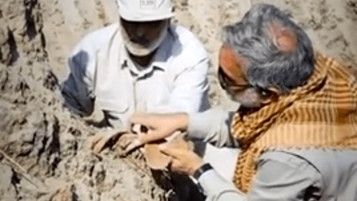 Wp Header Logo 520.png