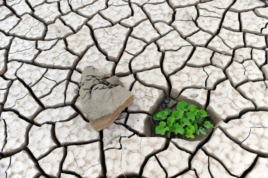 Wp Header Logo 619.png