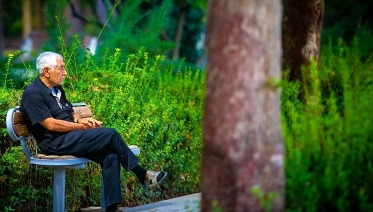 Wp Header Logo 737.png