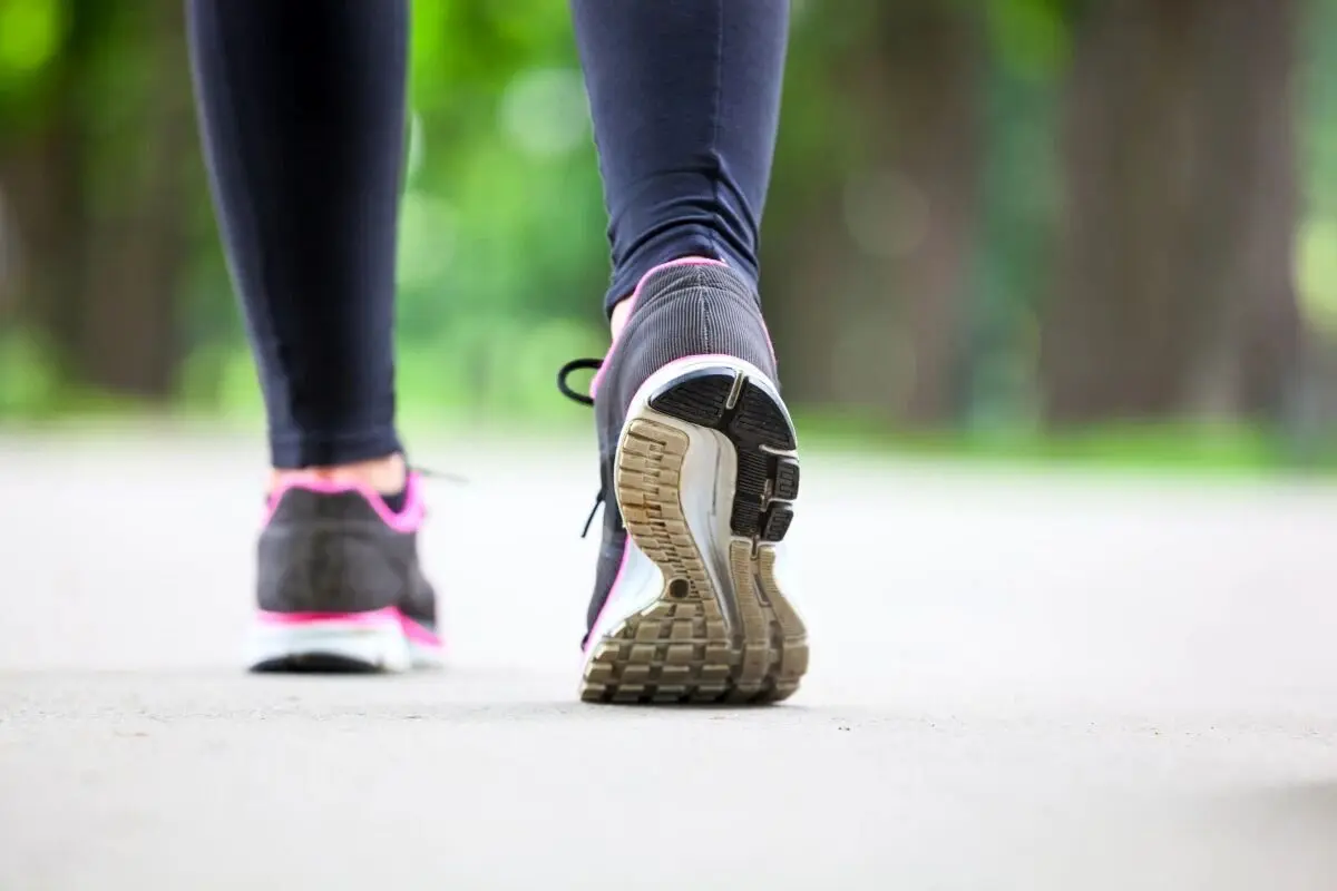 Wp Header Logo 797.png