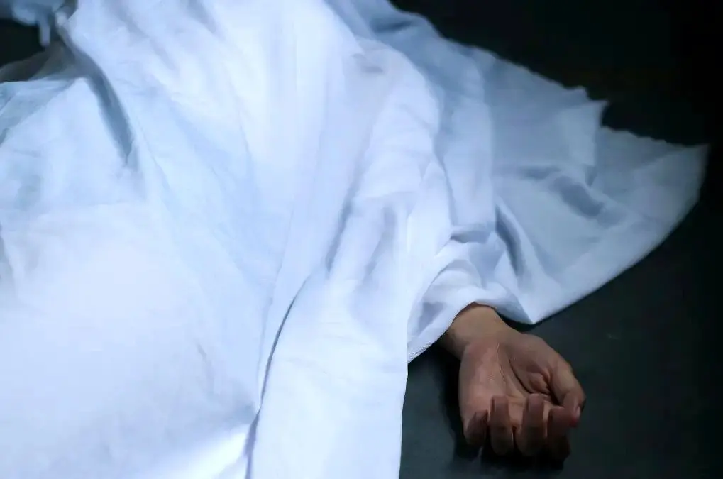 Wp Header Logo 89.png