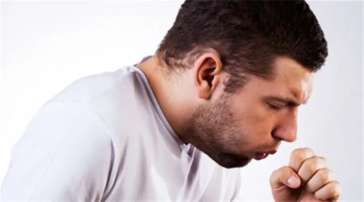 Wp Header Logo 914.png